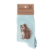 Wrendale Designs Ladies Socks - Hedgehugs Hedgehogs