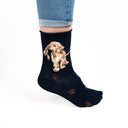 Wrendale Designs Ladies Socks - Hopeful Labrador