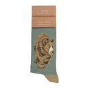 Wrendale Designs Mens Socks - In My Footsteps Bear