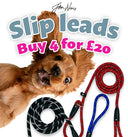 John Norris Dog Slip Lead - Multi-Buy Offer