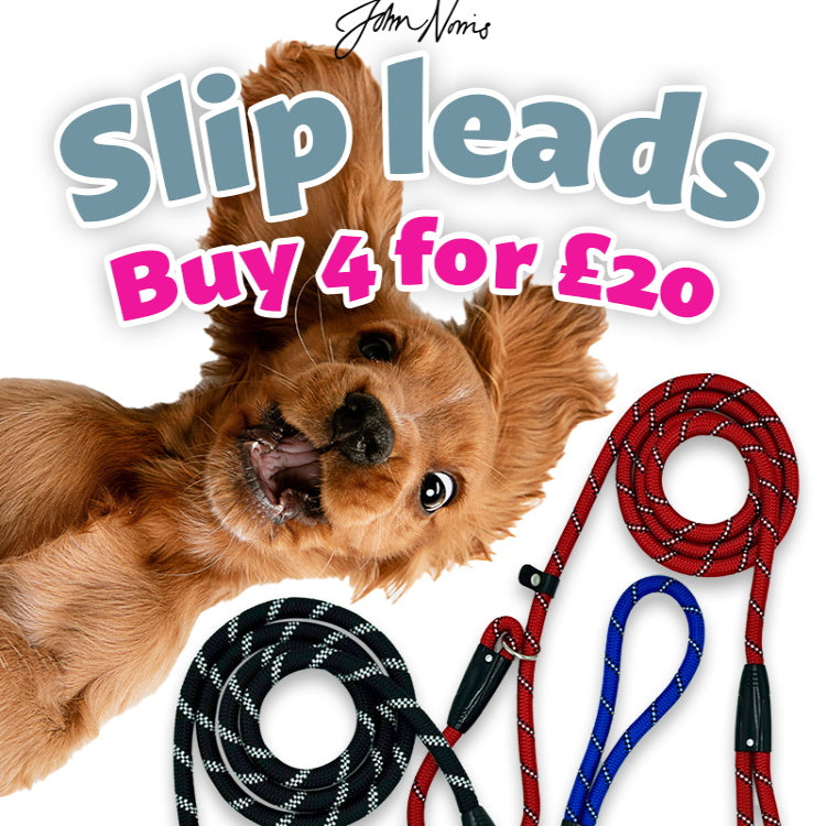 John Norris Dog Slip Lead - Multi-Buy Offer