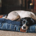 House of Paws Tweed Boxed Dog Duvet - Navy Check