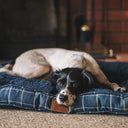 House of Paws Tweed Boxed Dog Duvet - Navy Check