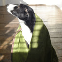 Henry Wag Refresh Dog Towel - Olive