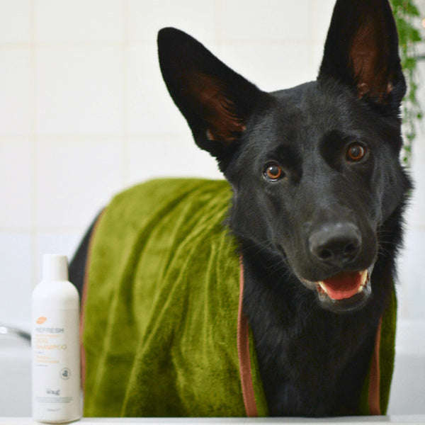 Henry Wag Refresh Dog Towel - Olive