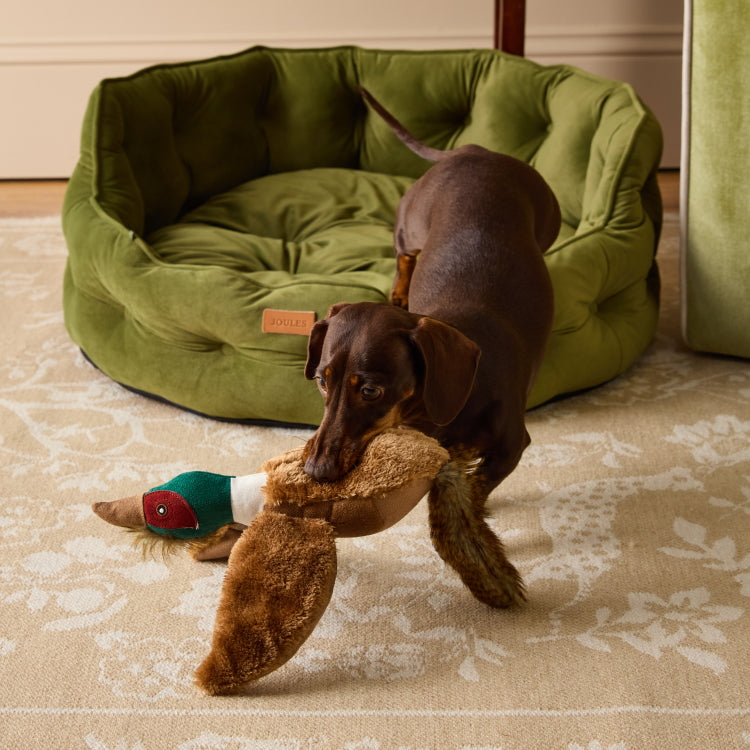 Joules Plush Tweed Pheasant Dog Toy