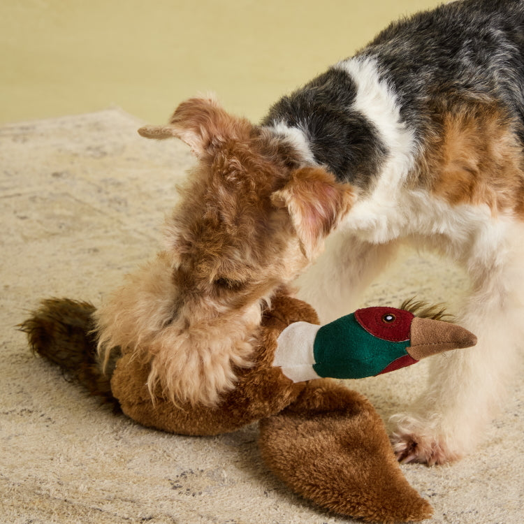 Joules Plush Tweed Pheasant Dog Toy