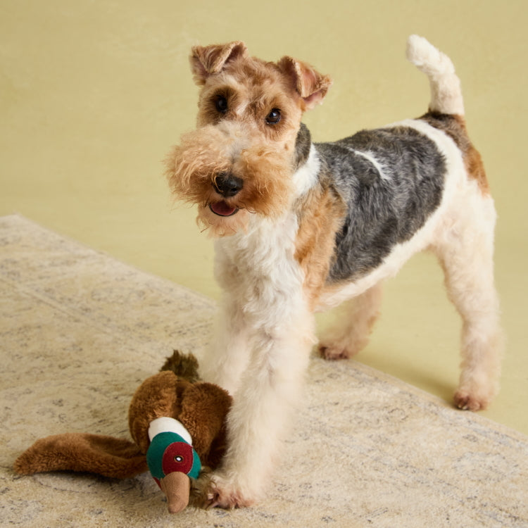 Joules Plush Tweed Pheasant Dog Toy