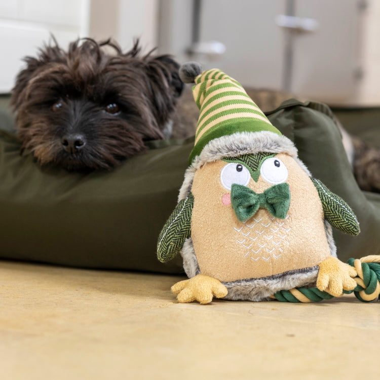 House of Paws Forest Green Owl Dog Toy