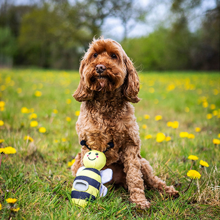 Rosewood Flingerz Bee Throw Dog Toy