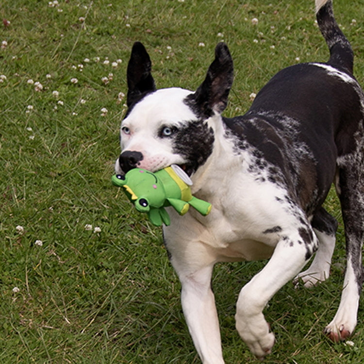 Rosewood Flingerz Frog Throw Dog Toy