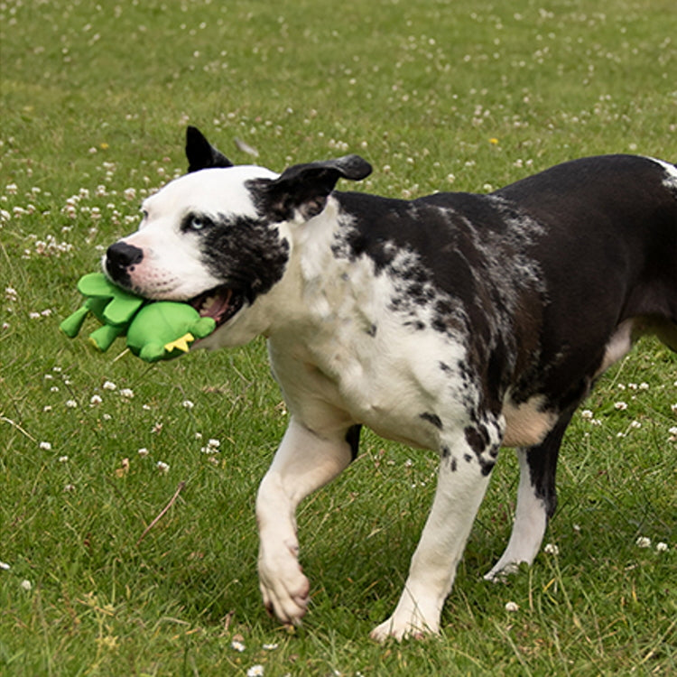 Rosewood Flingerz Frog Throw Dog Toy