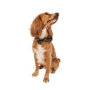 Barbour Tartan Dog Bow Tie