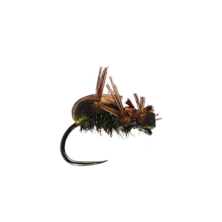 Brown Foam Beetle Dry Flies