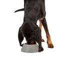 Scruffs Classic Long Eared Dog Bowl - Grey