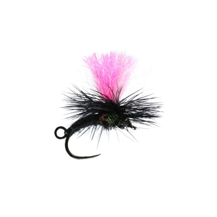 Black Klink and Dink Flies