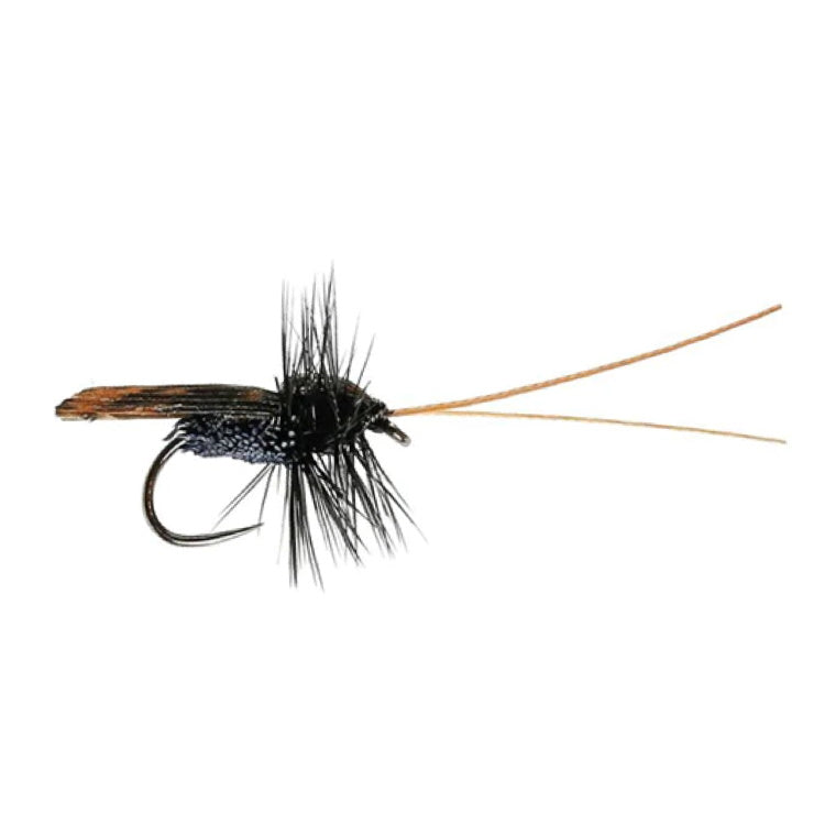 Black Micro Caddis Stillwater Dry Flies