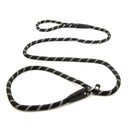 John Norris Dog Slip Lead - Multi-Buy Offer