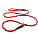 John Norris Dog Slip Lead - Multi-Buy Offer