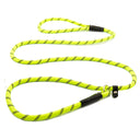 John Norris Dog Slip Lead - Multi-Buy Offer