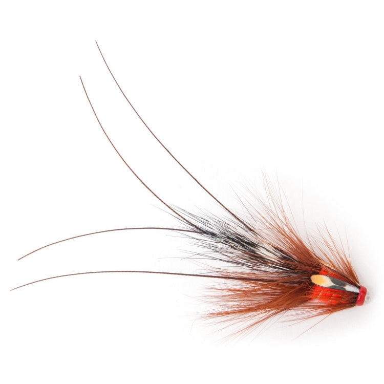 Guideline Pot Belly Pig - Fluorescent Fire Red Flies