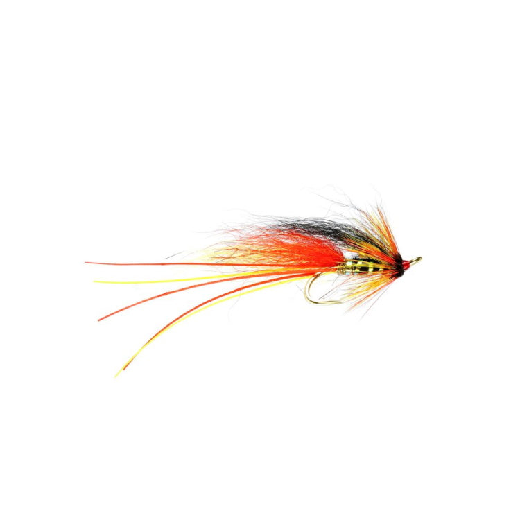 Park Shrimp Feeler Patriot Double Flies