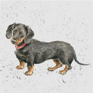 Wrendale Designs Dachshund Card