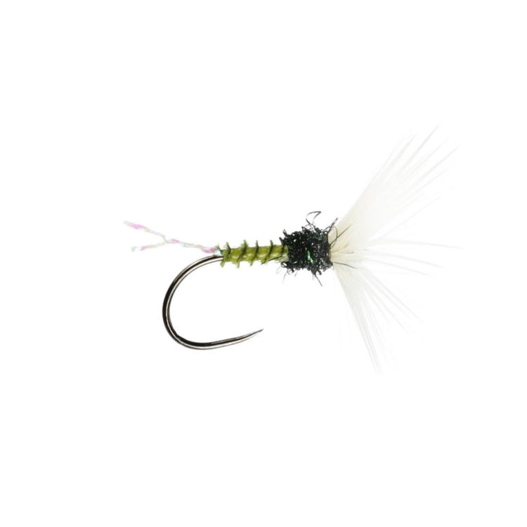 Olive Funnel Hackled Dry Flies