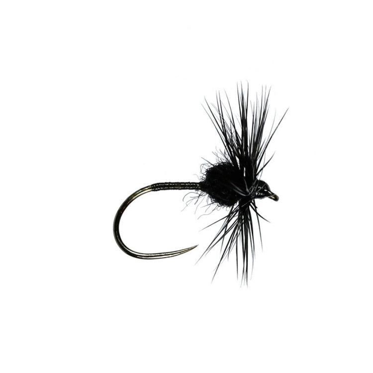 Black Spider Hackled Dry Flies