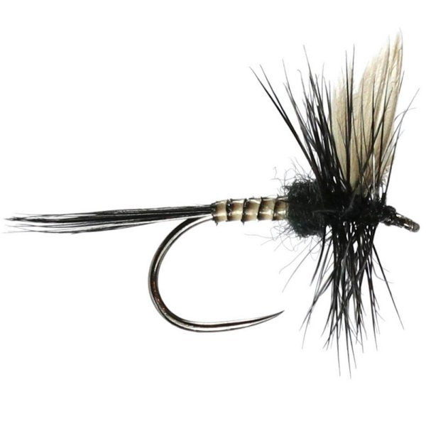 Black Gnat Dry Fly (W) Flies