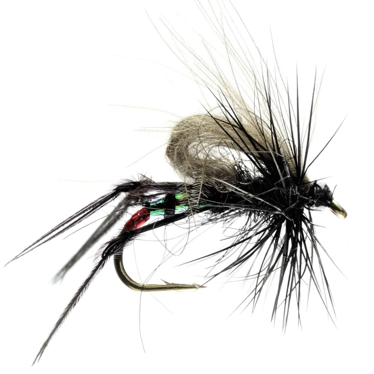 CDC Hopper Black | John Norris