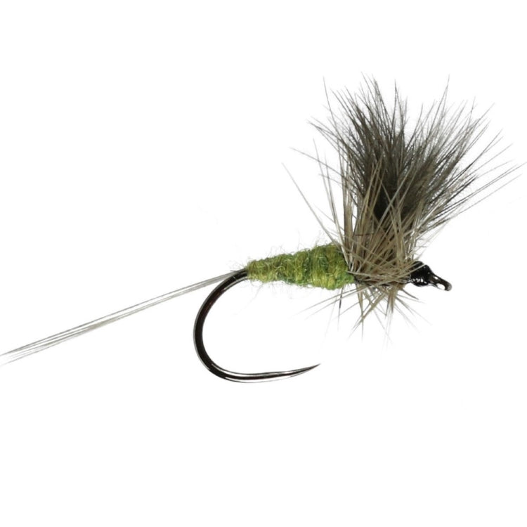 Fishing Flies, CDC Blue Winged Olive - John Norris