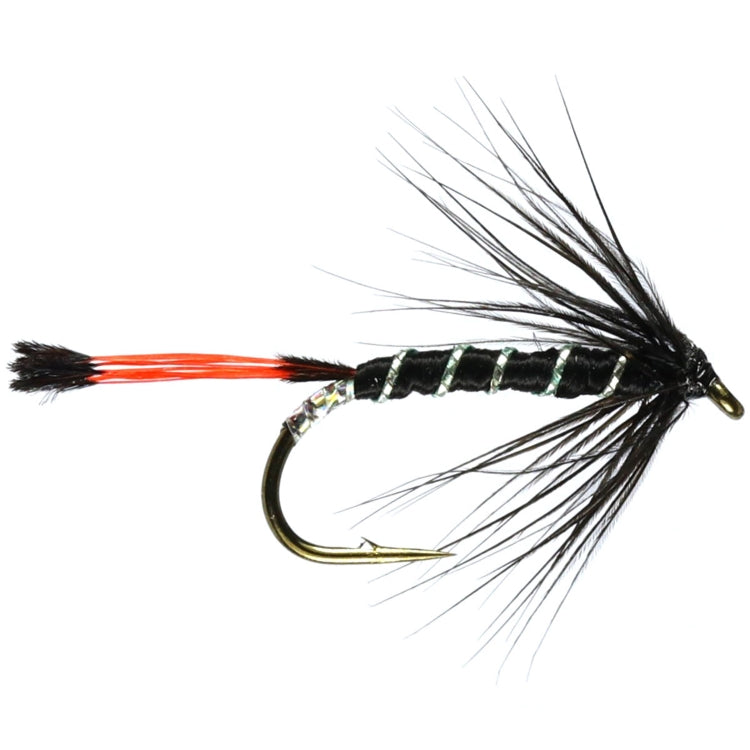 Black Pennell Hackled Wet Flies