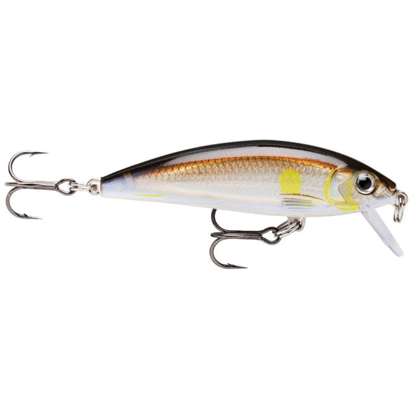 Rapala X-Rap Countdown Lure - Ayu