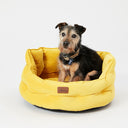 Joules Chesterfield Pet Bed - Yellow