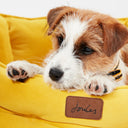 Joules Chesterfield Pet Bed - Yellow