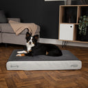 Scruffs ArmourDillo Orthopaedic Dog Bed - Grey