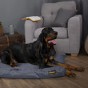 Scruffs Expedition Orthopaedic Pillow Dog Bed - Blue