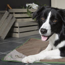 Scruffs Insect Shield Dog Blanket