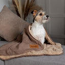 Scruffs Cosy Snuggle Dog Blanket - Caramel Brown