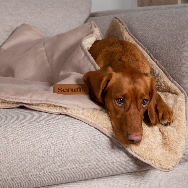 Scruffs Cosy Snuggle Dog Blanket - Desert Sand