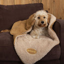 Scruffs Snuggle Dog Blanket - Tan