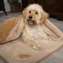 Scruffs Snuggle Dog Blanket - Tan