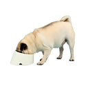 Scruffs Icon Slanted Dog Bowl - Cream