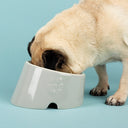 Scruffs Icon Slanted Dog Bowl - Light Grey