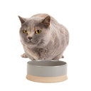 Scruffs Scandi Non Tip Dog Bowl - Grey