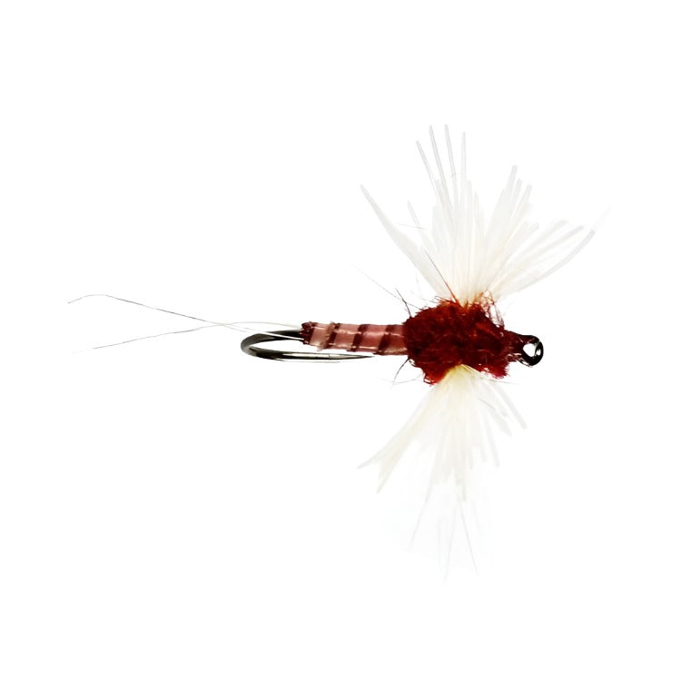 Rusty Spinner Winged Dry Flies