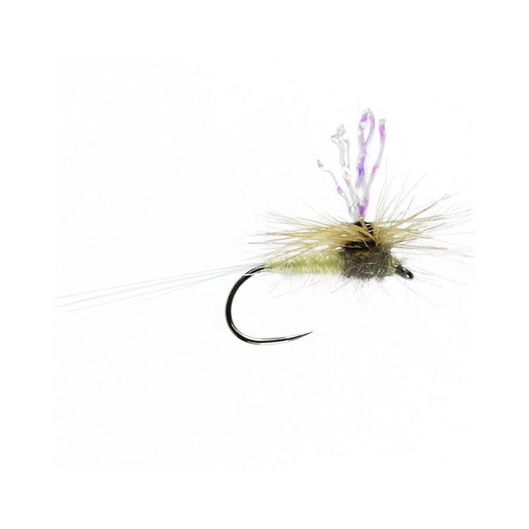 Para Midge Curse Flies