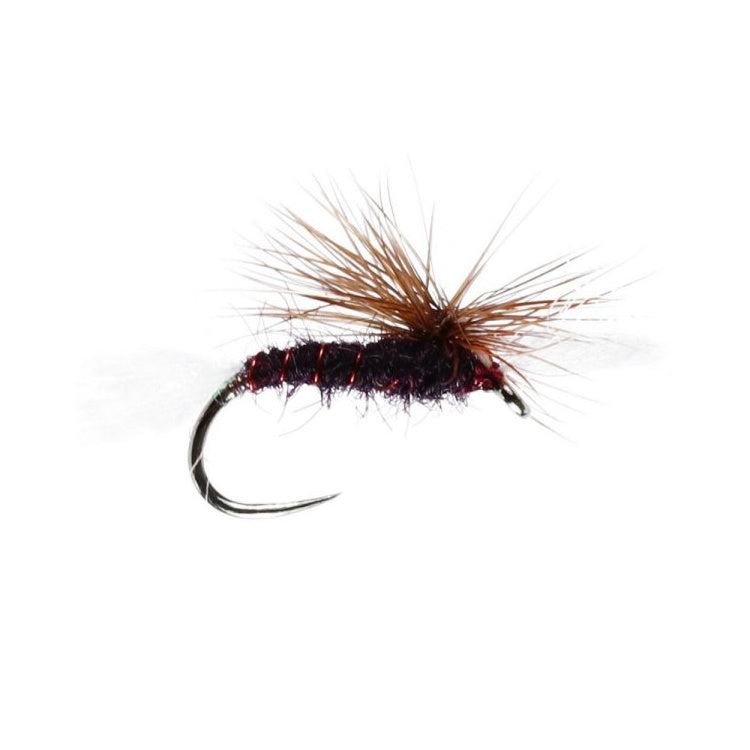 Claret Cripple Midge Stillwater Dry Flies