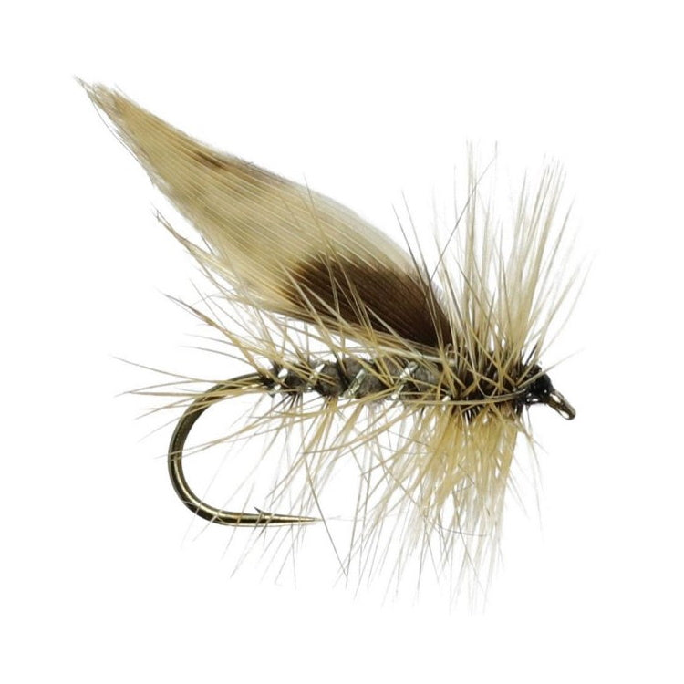 Grey Flag Sedge Flies